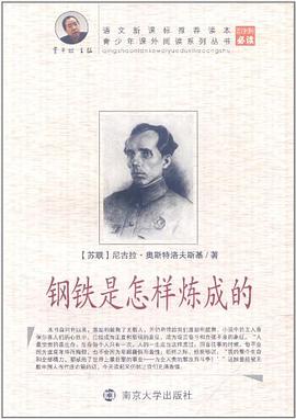 钢铁是怎样炼成的 pdf epub mobi 电子书 下载