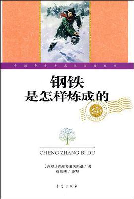 钢铁是怎样炼成的 pdf epub mobi 电子书 下载