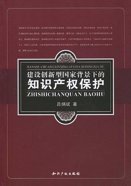 建設創新型國傢背景下的知識産權保護 pdf epub mobi 電子書 下載
