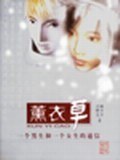 薰衣草