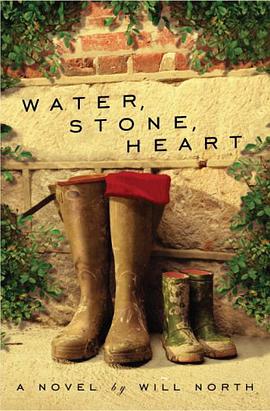 Water, Stone, Heart pdf epub mobi 电子书 下载
