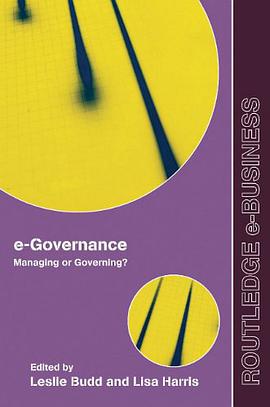 E-governance pdf epub mobi 电子书 下载