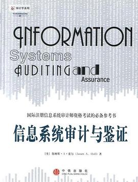 信息系统审计与鉴证 pdf epub mobi 电子书 下载