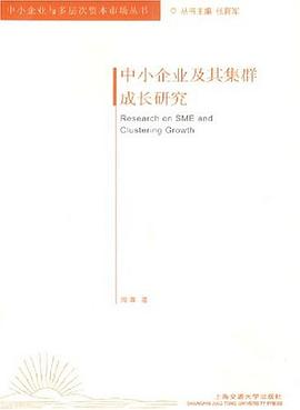 中小企业及其集群成长研究 pdf epub mobi 电子书 下载