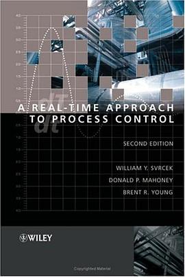A Real-Time Approach to Process Control