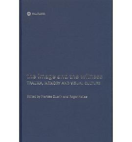 The Image and the Witness pdf epub mobi 电子书 下载