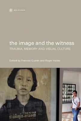 The Image and the Witness pdf epub mobi 电子书 下载