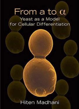 From a to Alpha pdf epub mobi 电子书 下载