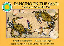 Dancing on the Sand pdf epub mobi 电子书 下载