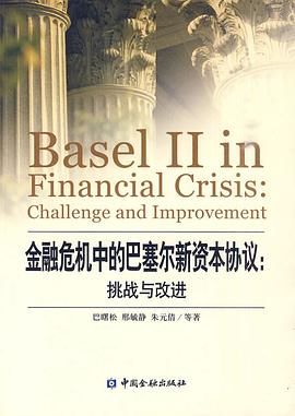 金融危机中的巴塞尔新资本协议 pdf epub mobi 电子书 下载