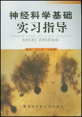 神经科学基础实习指导 pdf epub mobi 电子书 下载