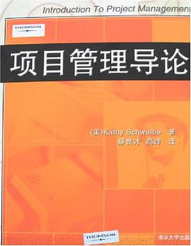 项目管理导论 pdf epub mobi 电子书 下载