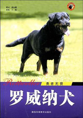 勇者无畏 pdf epub mobi 电子书 下载