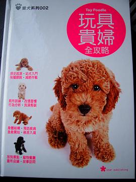 玩具贵妇全攻略 pdf epub mobi 电子书 下载