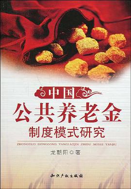 中国公共养老金制度模式研究 pdf epub mobi 电子书 下载