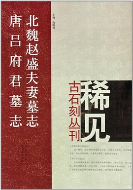 北魏赵盛夫妻墓志唐吕府君墓志/稀见古石刻丛刊 pdf epub mobi 下载