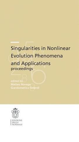 Singularities in Nonlinear Evolution Phenomena and Applications pdf epub mobi 电子书 下载