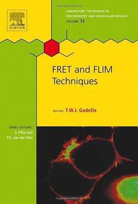FRET and FLIM Techniques, Volume 33 pdf epub mobi 电子书 下载
