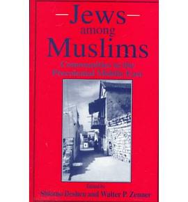 Jews Among Muslims pdf epub mobi 下载