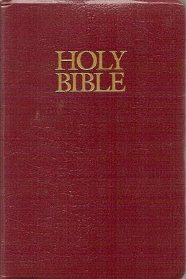 Holy Bible Gift & Award pdf epub mobi 电子书 下载