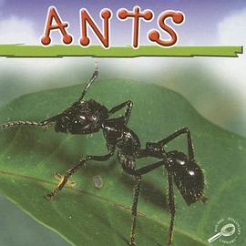 Ants pdf epub mobi 电子书 下载
