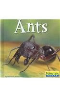 Ants pdf epub mobi 电子书 下载