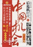 后危机时代的中国机会 pdf epub mobi 电子书 下载