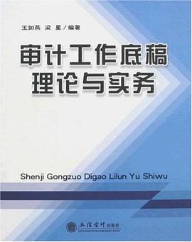 审计工作底稿理论与实务 pdf epub mobi 电子书 下载