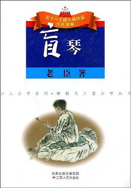 盲琴 pdf epub mobi 电子书 下载