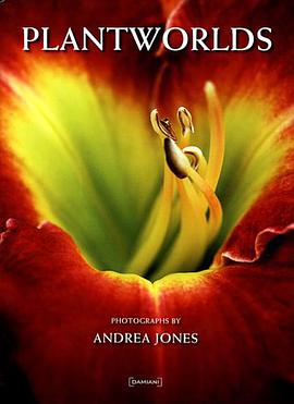 Andrea Jones pdf epub mobi 电子书 下载