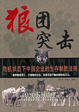 狼团突击 pdf epub mobi 下载