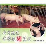 北方地区冬季养猪技术 pdf epub mobi 电子书 下载