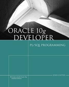 Oracle 10g Developer pdf epub mobi 下载