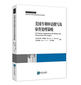 美国专利申请撰写及审查处理策略 pdf epub mobi 电子书 下载