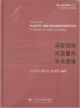 深度创面修复整形手术图谱 pdf epub mobi 电子书 下载