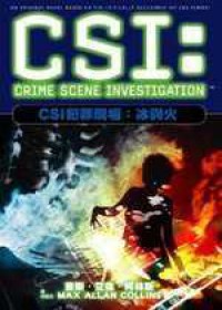 CSI犯罪現場：冰與火 pdf epub mobi 电子书 下载
