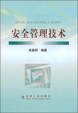 安全管理技术 pdf epub mobi 电子书 下载