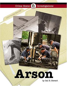 Arson pdf epub mobi 电子书 下载