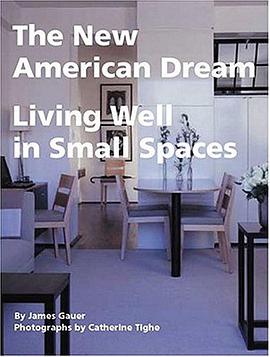 The New American Dream pdf epub mobi 電子書 下載