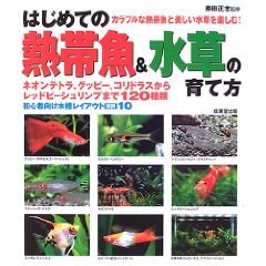 はじめての熱帯魚&水草の育て方 pdf epub mobi 电子书 下载