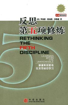 反思第五项修炼 pdf epub mobi 电子书 下载