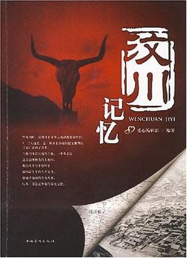 汶川记忆 pdf epub mobi 电子书 下载