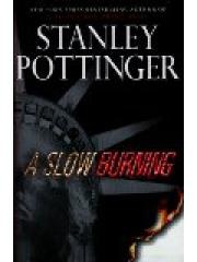 A Slow Burning pdf epub mobi 电子书 下载
