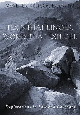 Texts That Linger, Words That Explode pdf epub mobi 电子书 下载