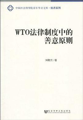 WTO法律制度中的善意原则 pdf epub mobi 电子书 下载