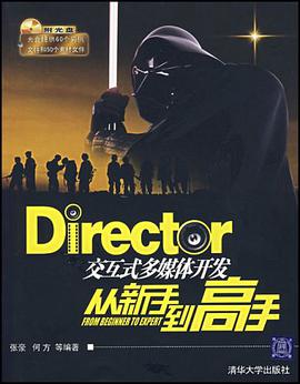 Director交互式多媒体开发从新手到高手 pdf epub mobi 电子书 下载