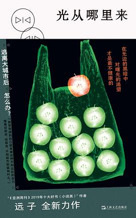 光从哪里来 pdf epub mobi 电子书 下载
