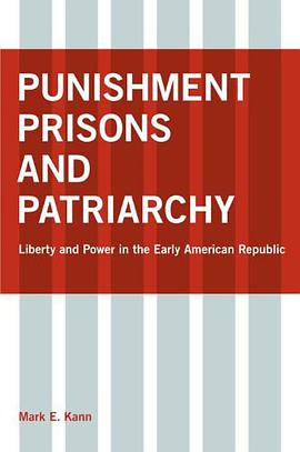 Punishment, Prisons, and Patriarchy pdf epub mobi 电子书 下载