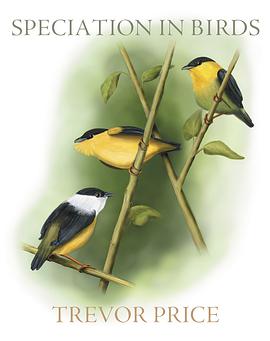 Speciation in Birds pdf epub mobi 电子书 下载
