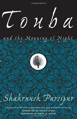 Touba and the Meaning of Night pdf epub mobi 电子书 下载